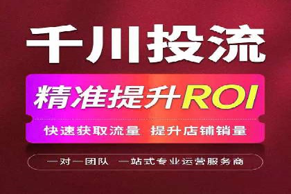 网络推广中的竞价广告：成功案例解析